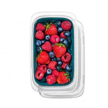 pojemnik na owoce, pojemnik na warzywa, lunchbox na owoce, lunchbox na warzywa, pojemnik na żywność, pojemnik na owoce z koszyczkiem, śniadaniówka do szkoły, 11301700MLNYK pojemnik OXO