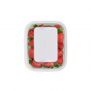pojemnik greensaver, pojemnik green saver, pojemnik do oxo, pojemnik do lodówki, pojemnik do przechowywania warzyw, pojemnik z filtrem węglowym, pojemnik na owoce i warzywa