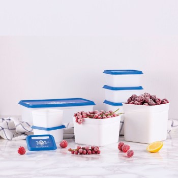 pojemniki do zamrażarki, pojemniki do mrożenia, pojemniki BPA FREE, Amuse Alaska pojemniki, pojemniki do zamrażania, Amuse A-000080 Alaska, 