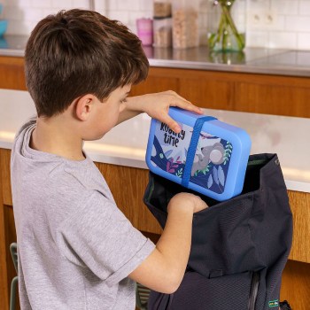 pudełko na kanapki, lunchbox, pojemnik na kanapki, lunchbox certyfikat do kontaktu z żywnością, lunchbox do szkoły, pojemnik na kanapki koala, Amuse A-000355, lunchbox dla nastolatka, lunchbox z gumką,