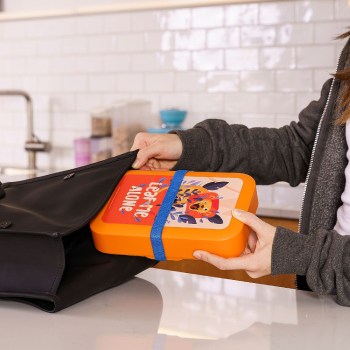 lunchbox, pojemnik na kanapki, lunchbox certyfikat do kontaktu z żywnością, lunchbox do szkoły, pojemnik na kanapki lew, Amuse A-000356, lunchbox dla nastolatka, lunchbox z gumką, pojemnik na kanapki pomarańczowy, kanapnik, śniadaniówka